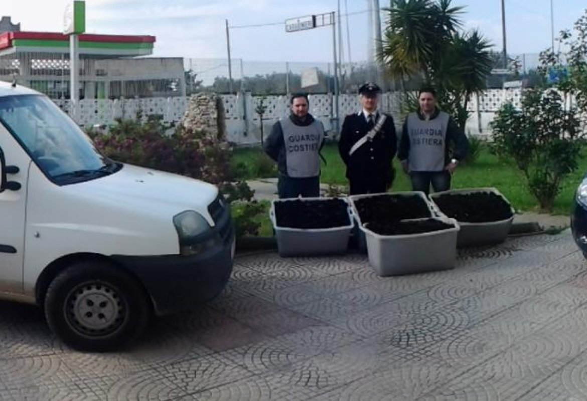 Avevano raccolto 5300 ricci, foglio di via per cinque pregiudicati brindisini