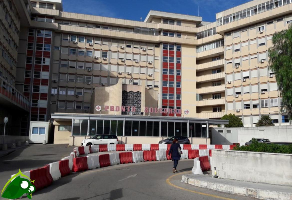 Il caso Pamba e l'informazione frettolosa