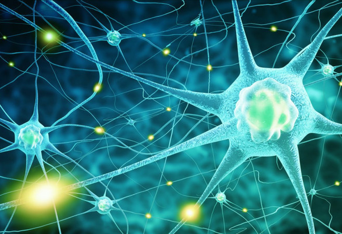 Dalla ricerca Unisalento una nuova tecnica per lo studio delle nanoparticelle metalliche inglobate nelle cellule