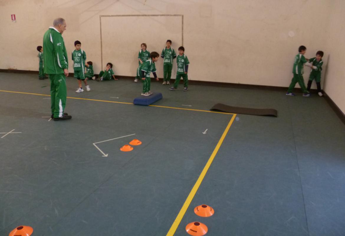 Pallavolo. Tornano in campo i giovanissimi della Showy-Boys