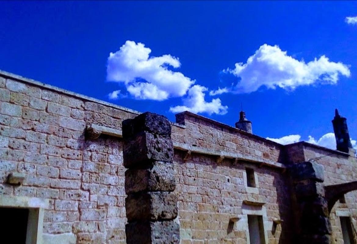 “Alla luna e al basilico” 