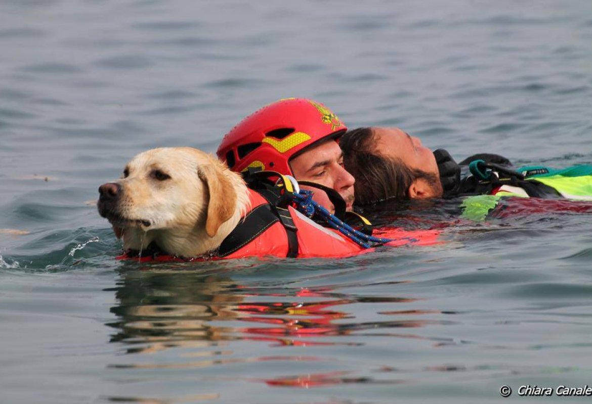 Simulazione di salvataggio in mare con i cani