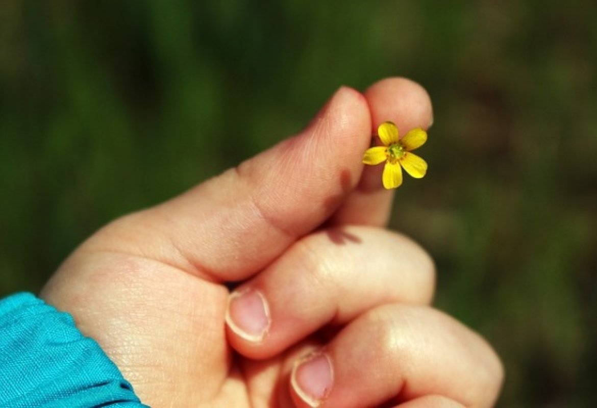 "Giornata Nazionale dei Giochi della Gentilezza", l'adesione del Comune di Galatina