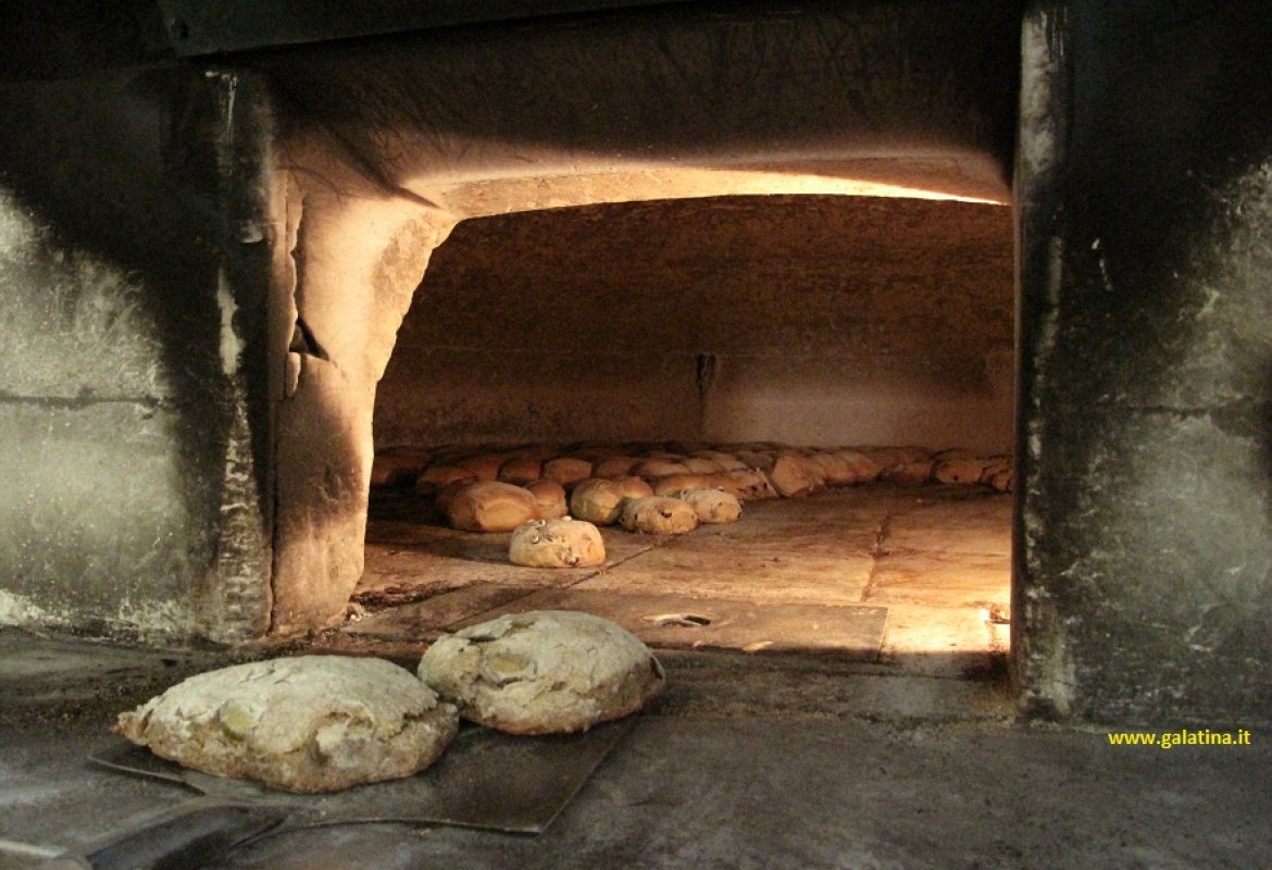 Pane fresco o pane caldo?