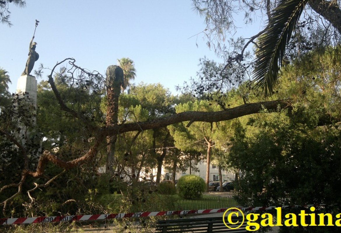 Forte vento, il Sindaco di Galatina invita alla prudenza
