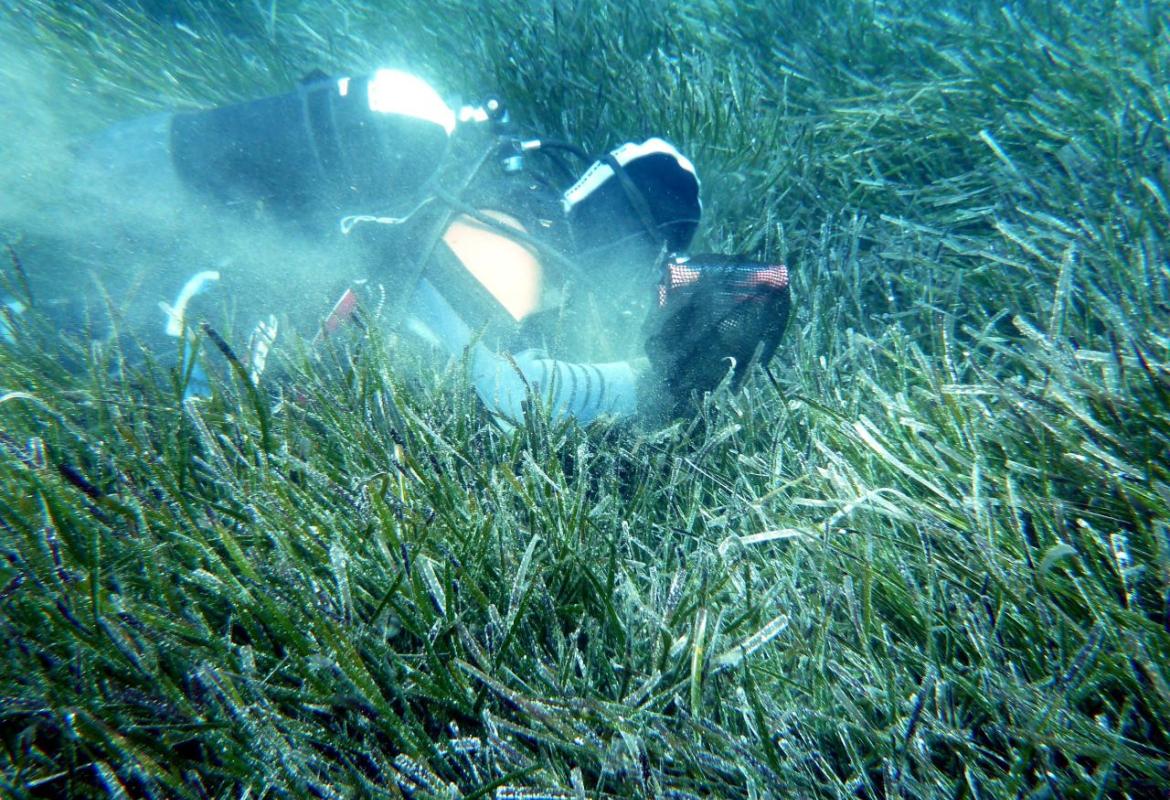 L'anidride carbonica in atmosfera farà cambiare le spiagge
