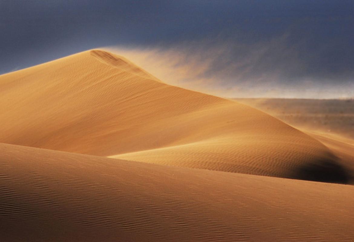 Voce di uno che grida nel deserto