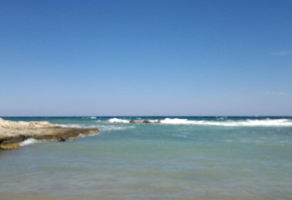 "Come conservare il Mediterraneo in salute e sfruttarne in modo sostenibile i beni e i servizi"