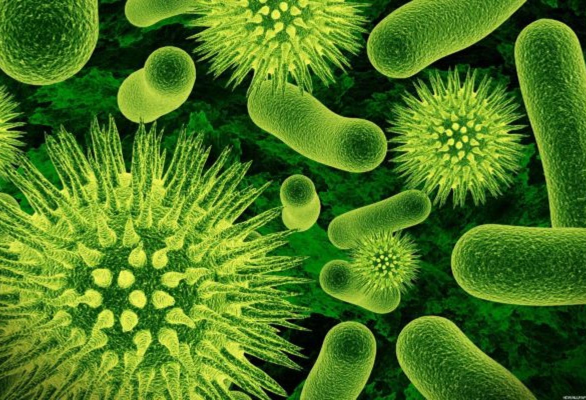 I virus potenziali vettori per il trasferimento genico orizzontale