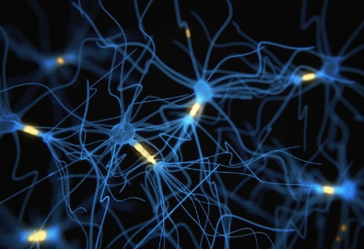 Comunicazione neuronale, pronte le sinapsi artificiali