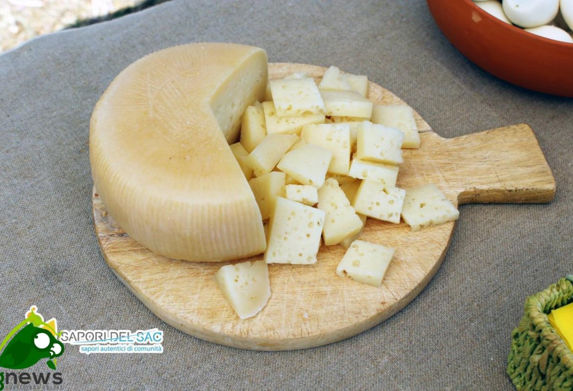 A Lecce il 'Pecorino Day'