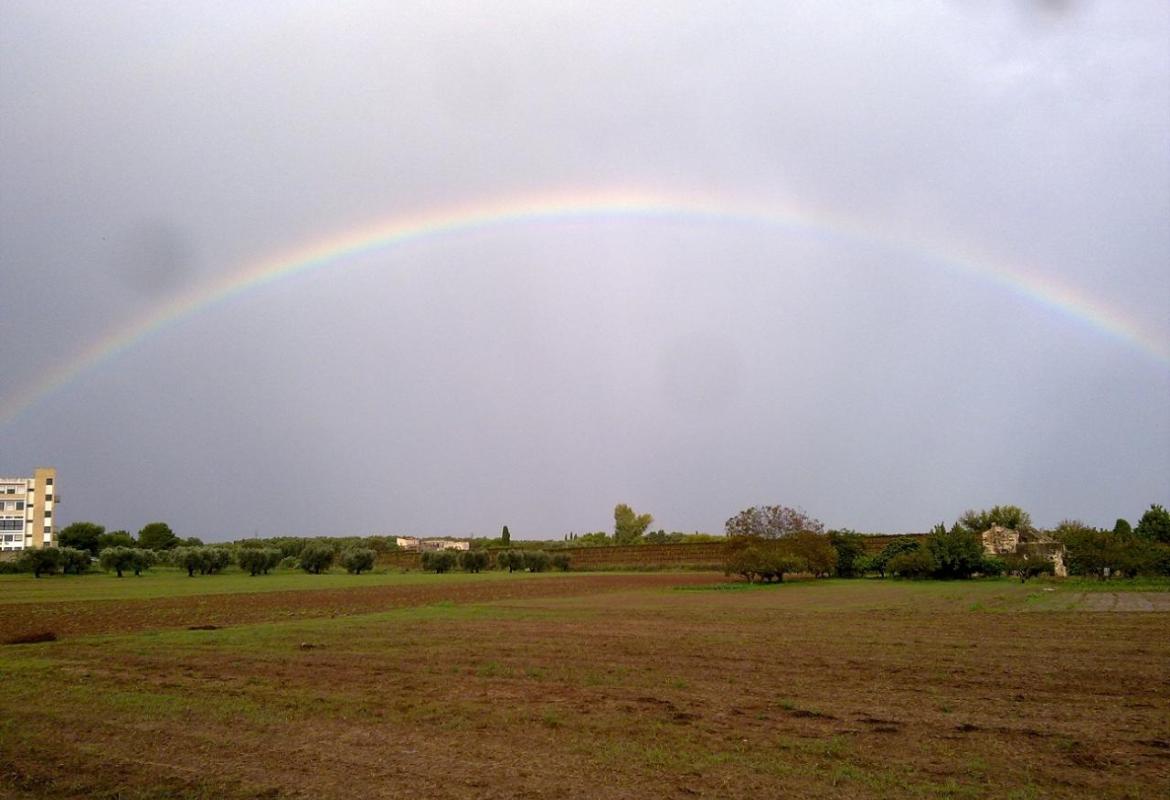 'Brilla in ciel l’arcobaleno' delle classi quinte elementari A-B-C di Galatina e V A-B di Noha