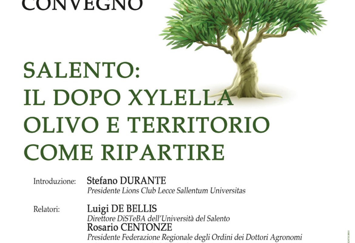 “Salento, il dopo xylella, olivo e territorio, come ripartire”