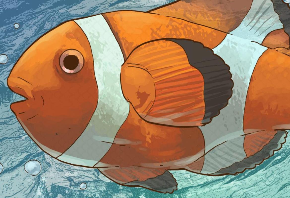  "Torre Matta Experience - Una magia per tutti"