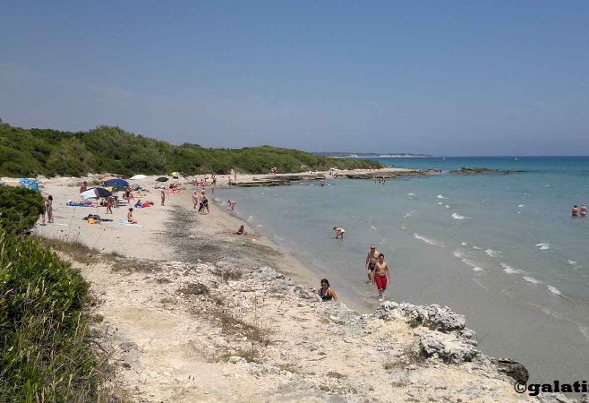 Sette spiagge per un “Tour Ecologico”