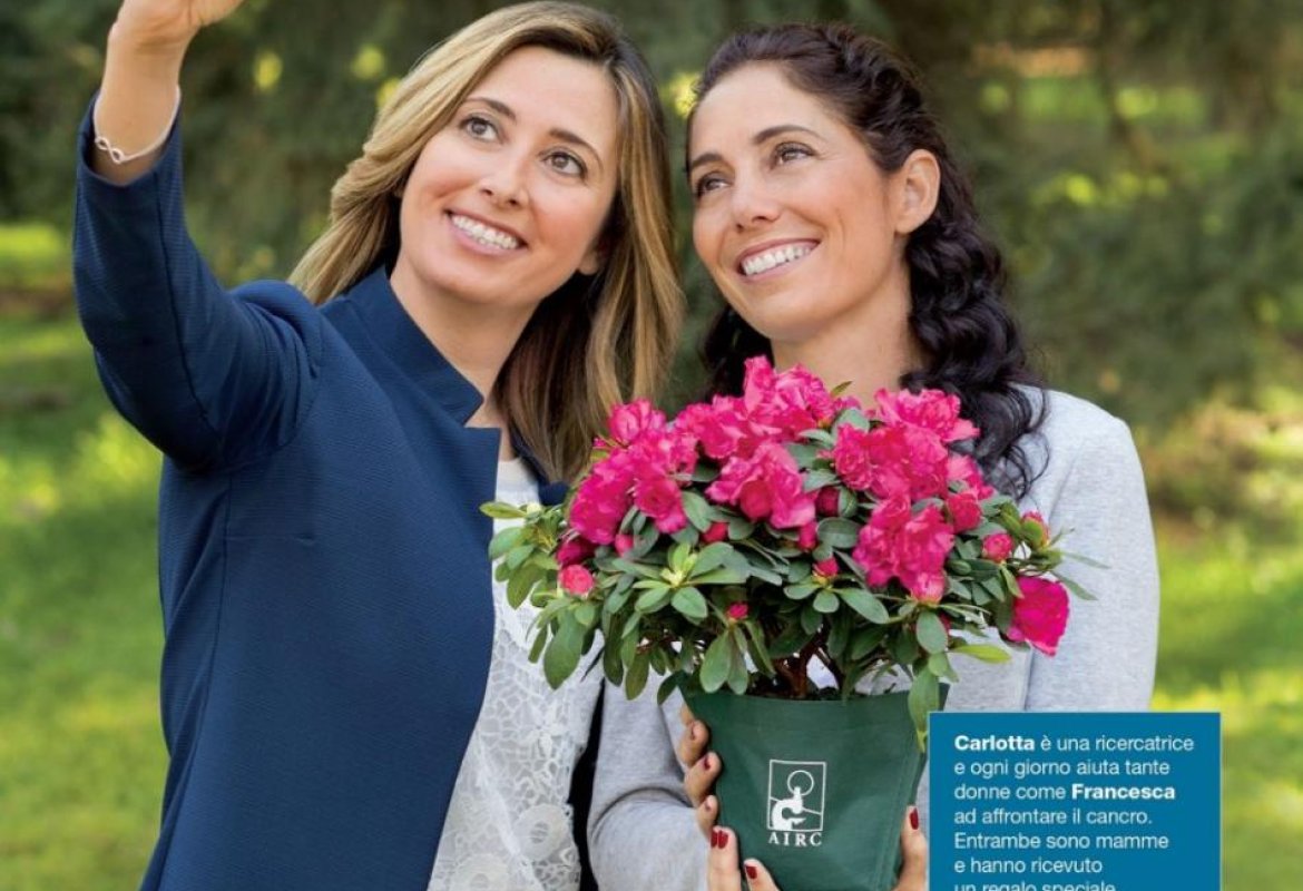 Torna anche a Galatina l’appuntamento con l’Azalea della Ricerca di AIRC