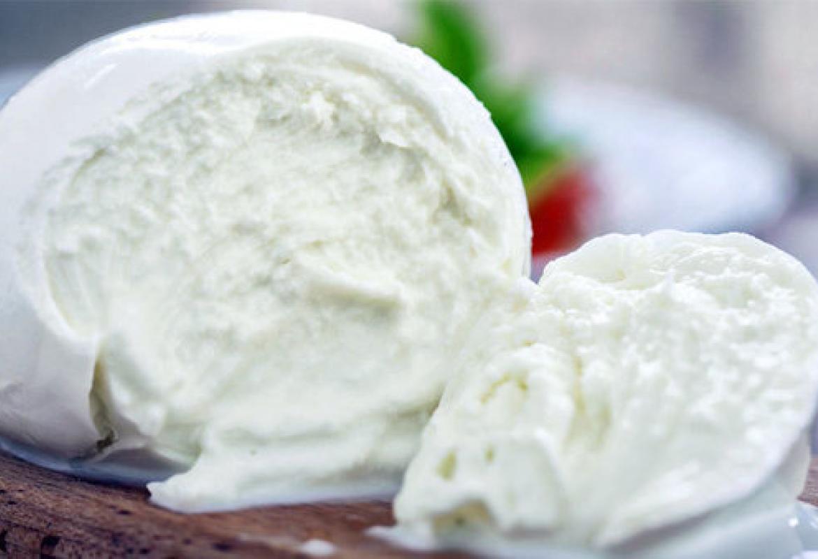 Messa a punto dal Cnr una tecnica per scoprire la presenza di latte non italiano nelle mozzarelle di bufala