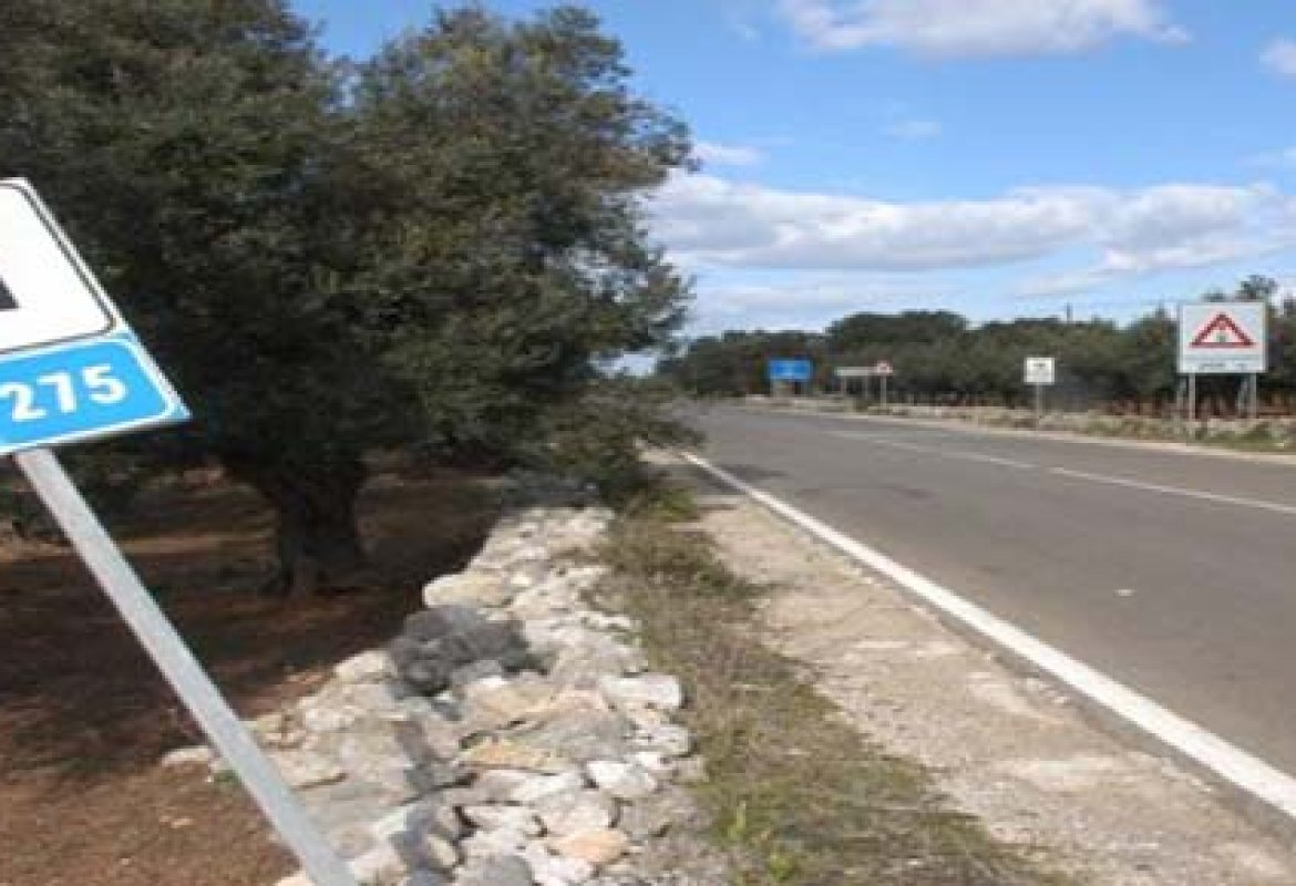 "Partire subito con i lavori alla S.S. 275"