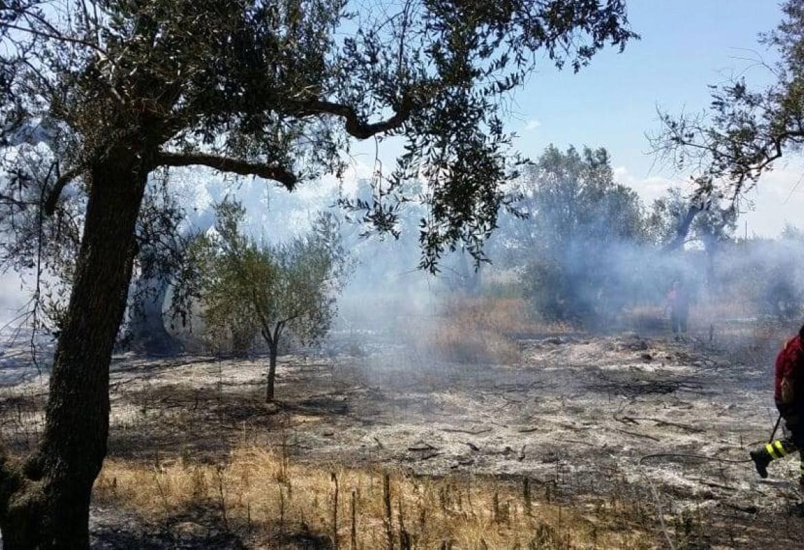 "Il fuoco è un’offesa per la terra e un pericolo per la salute della città"