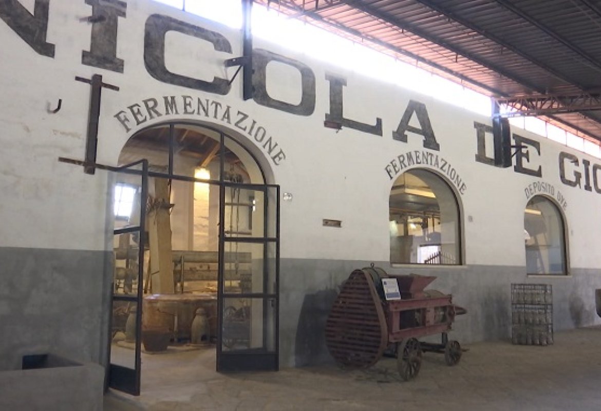 “Armonie per la salute a Scuola”