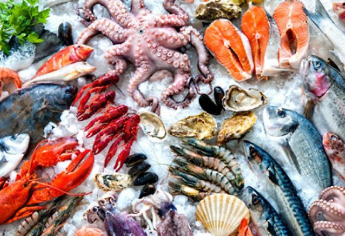 Cominciato il fermo pesca in Adriatico