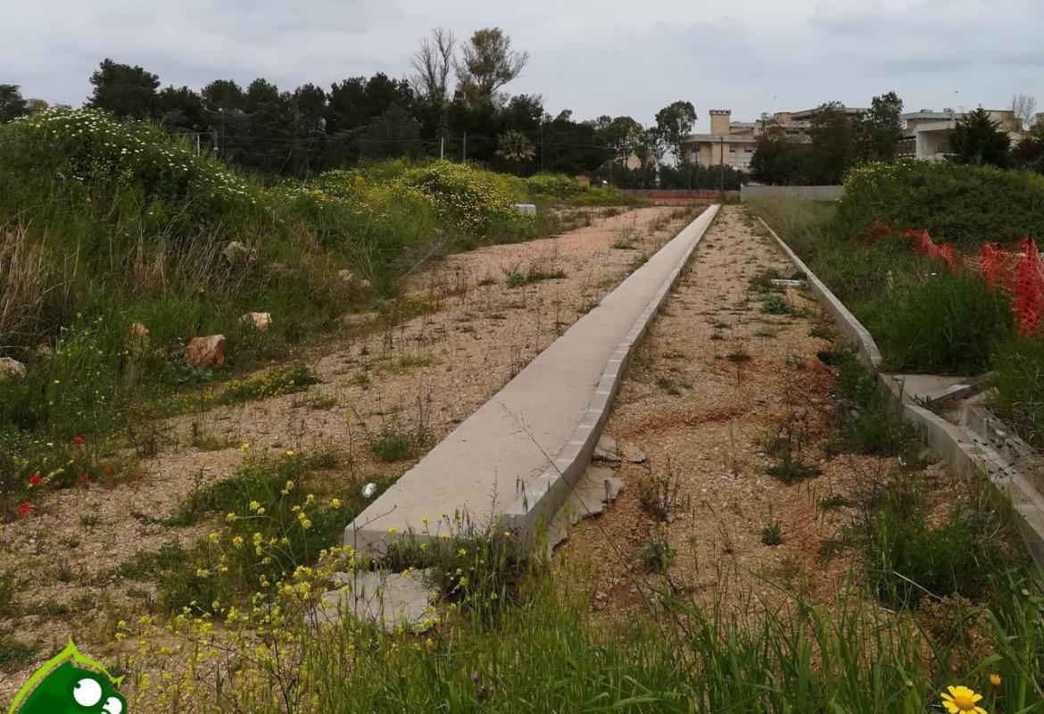 In Consiglio provinciale la tangenziale sud-ovest di Galatina