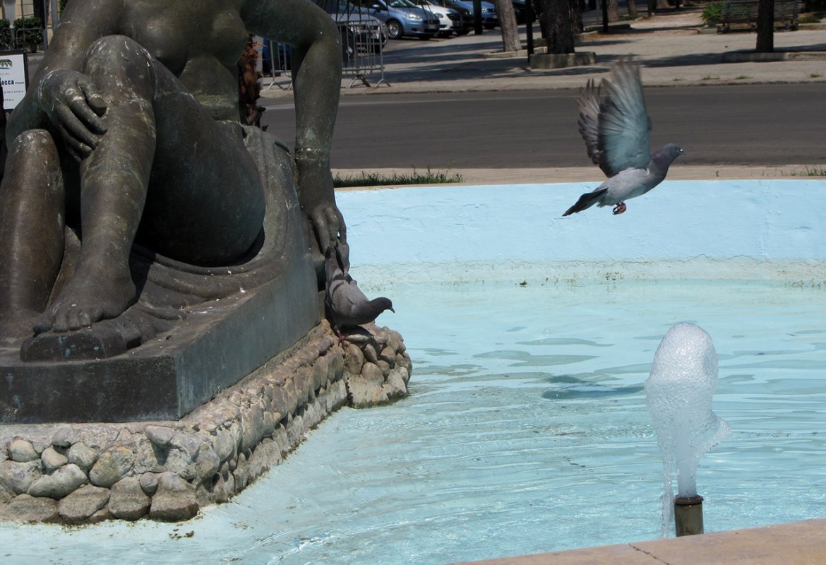 "Intorno alla vasca che protegge “la Pupa” ci si può sedere o no?"