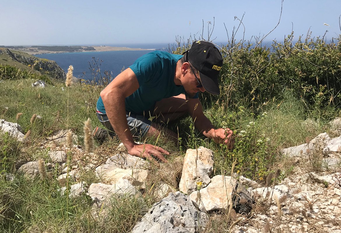 “Erbe da bere” il 15 agosto alla Palascia