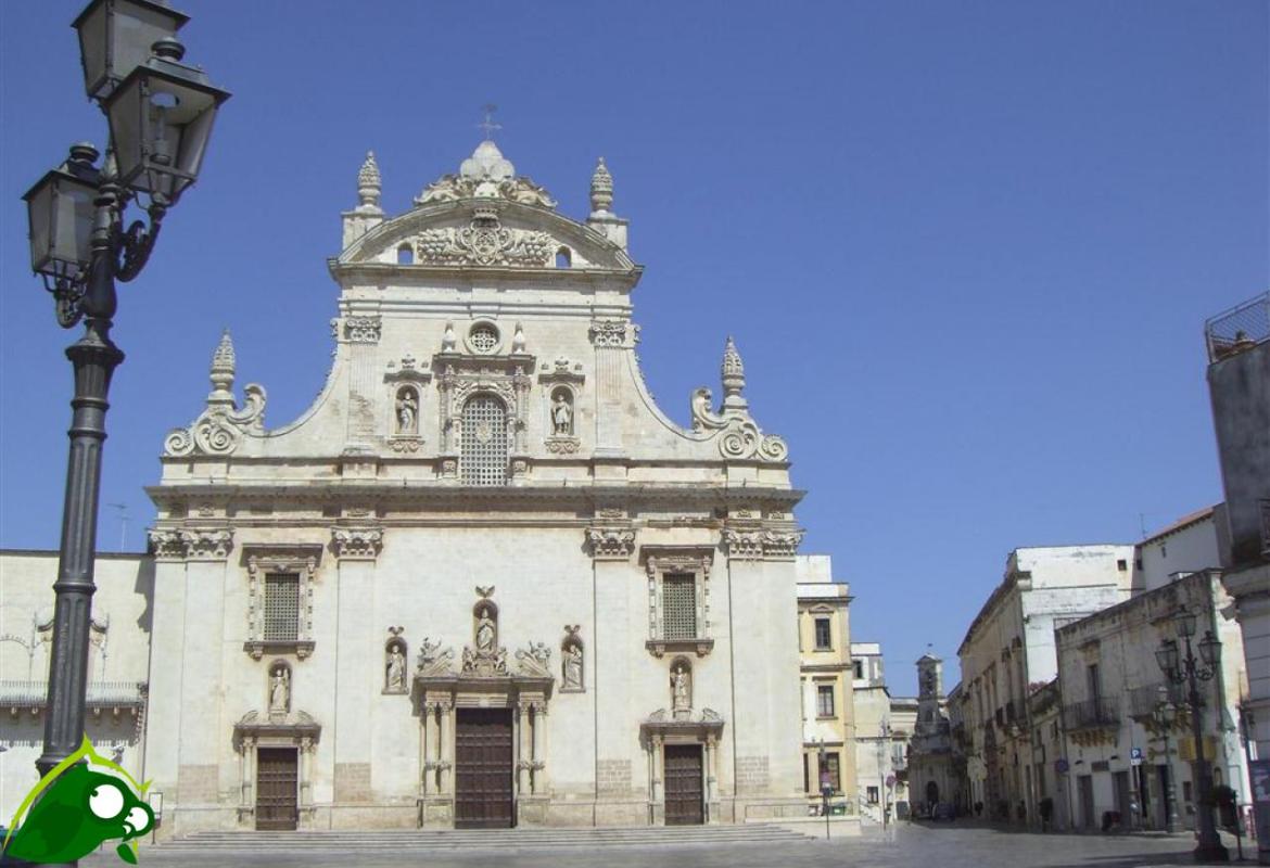I volontari del Servizio Civile in Piazza San Pietro