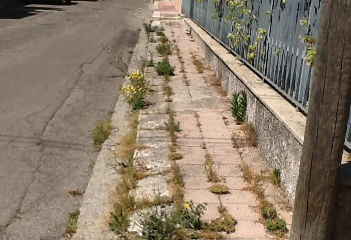 La tradizione dell'erba alta lungo i marciapiedi