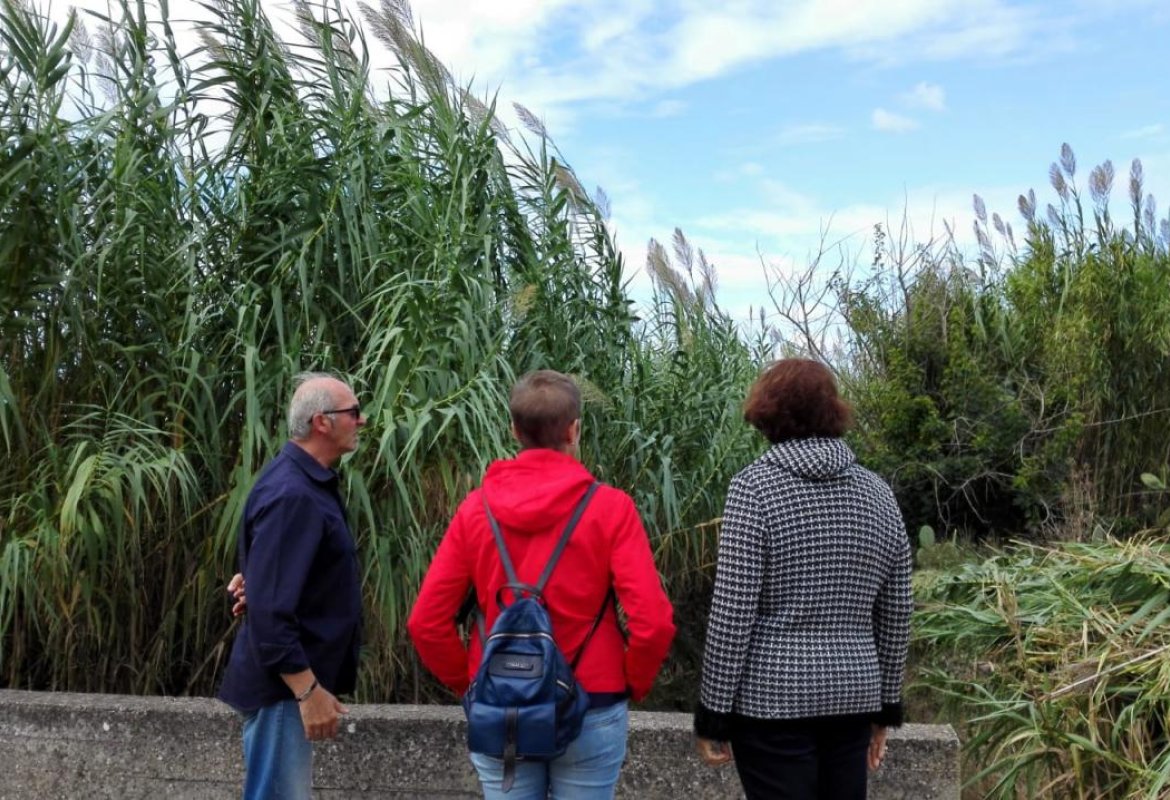 Canale dell'Asso, un sopralluogo per prevenire le esondazioni