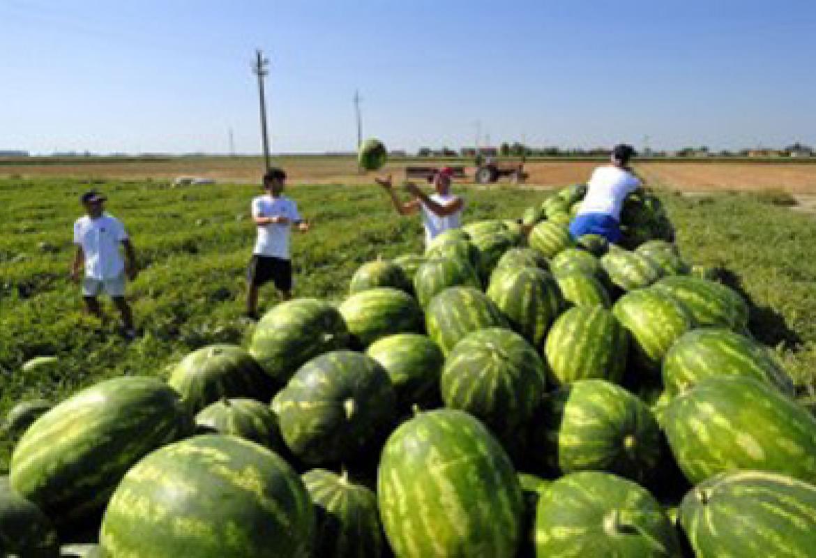 L'amministrazione neretina non apre lo sportello (finanziato) per gli immigrati