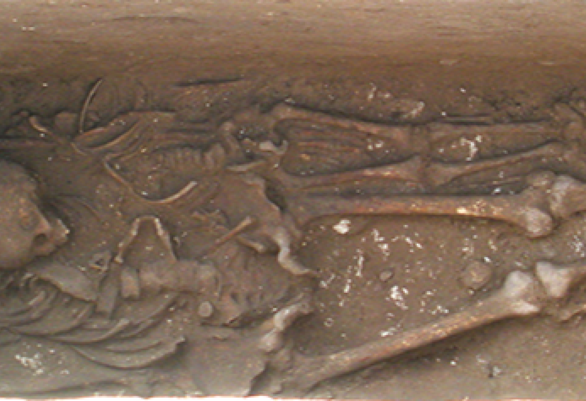 C'è un po' di Galatina nel ritrovamento a Roca di una tomba messapica con due scheletri sepolti insieme 