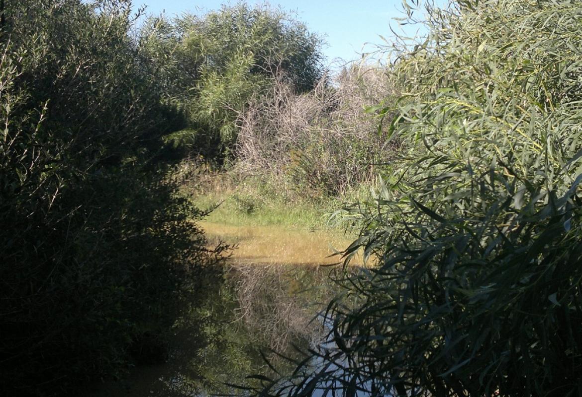 Ventiquattro comuni per un polmone verde salentino
