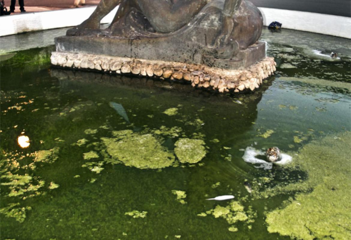 La Pupa della vergogna!