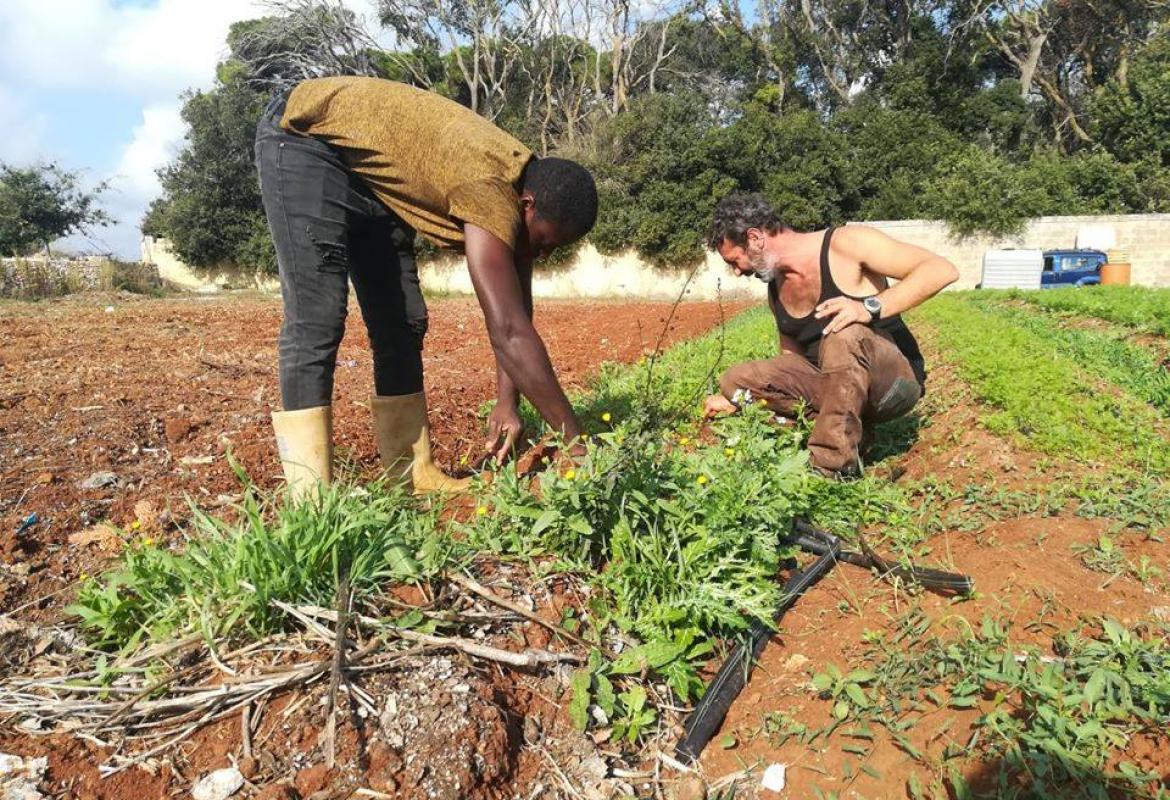 Giovani utenti psichiatrici e famiglie migranti coinvolti in un innovativo progetto di bioagricoltura