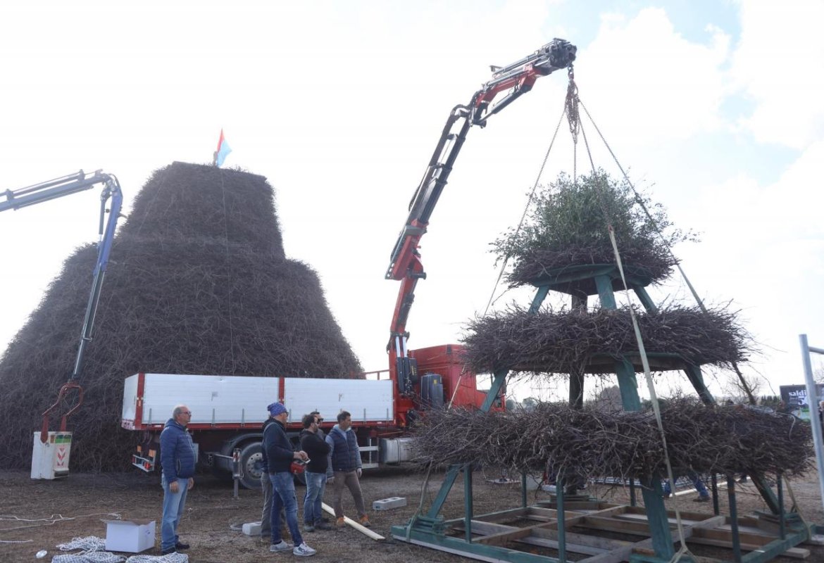 Un ramo secco d'ulivo in cima alla focara 