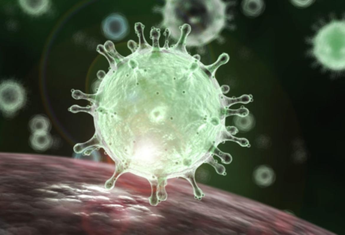 Corona virus, Circolare del Ministero dell'Istruzione indirizzata a tutte le scuole