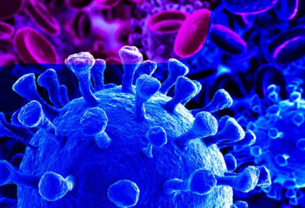 Coronavirus, &quot;Non serve correre al pronto soccorso o chiudersi in casa&quot;