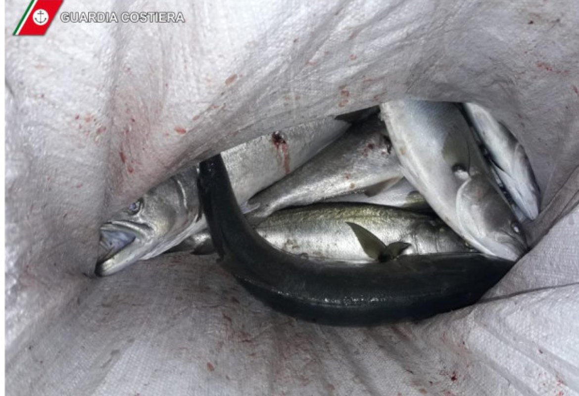 Tre persone sorprese a pescare pesce serra nel porto di Otranto: 6000 euro di multe e sequestro delle attrezzature