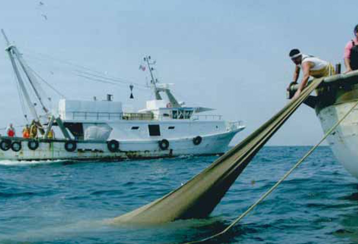 Sarà la Guardia Costiera a distribuire i fondi per sostenere le imprese di pesca