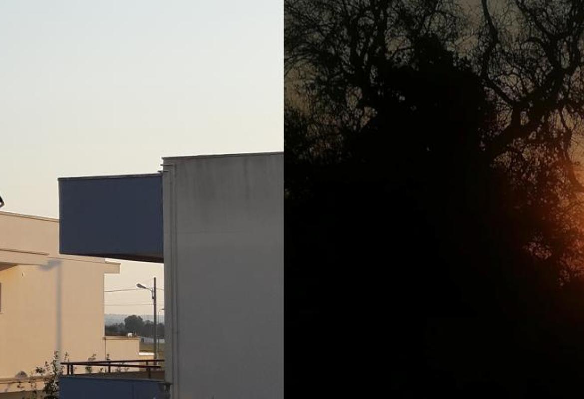 Ai tetti, nuovi spazi di libertà, e ai tramonti senza mare