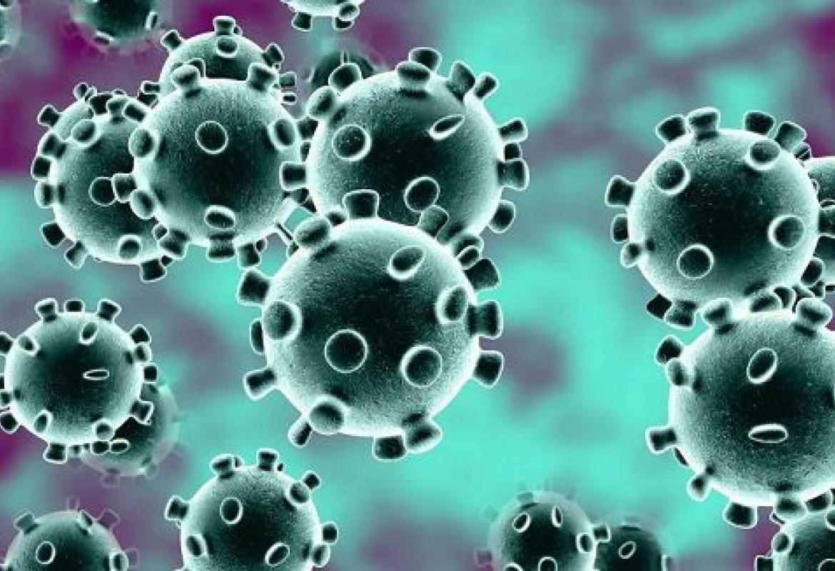 I genomi del virus Sars-Cov-2 non sono differenti dal ceppo cinese