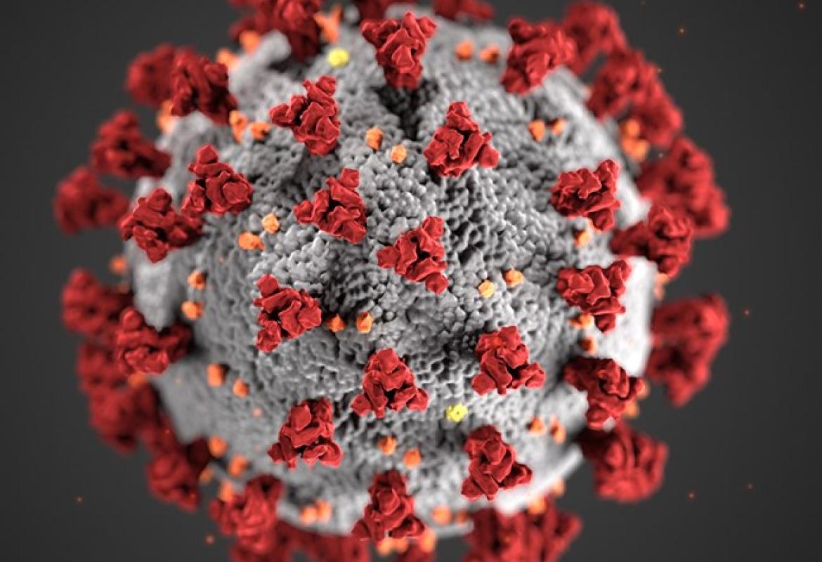 Sequenziati in Puglia due ceppi del virus SARS COV 2