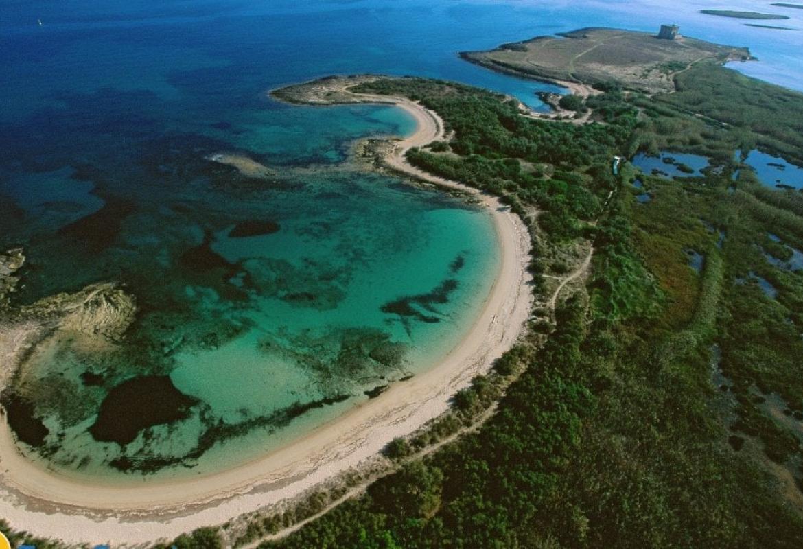 L'Oasi di Torre Guaceto nel Principato di Monaco per la conferenza internazionale sull’ambiente