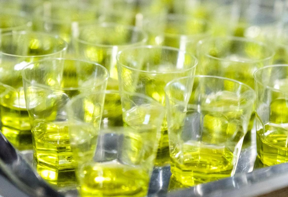 "Dalla Puglia col Cuore Evo Edition", undici oli in gara