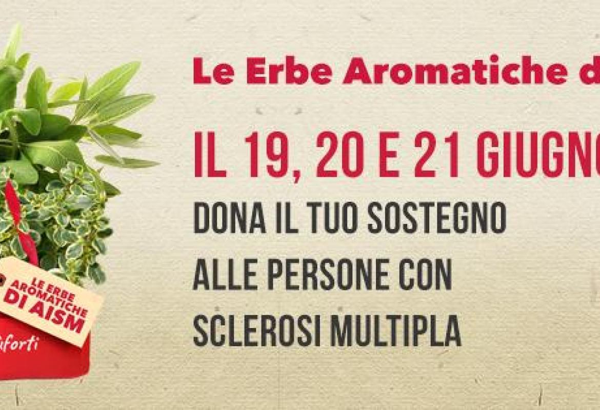 ‘Le Erbe Aromatiche di AISM’ 