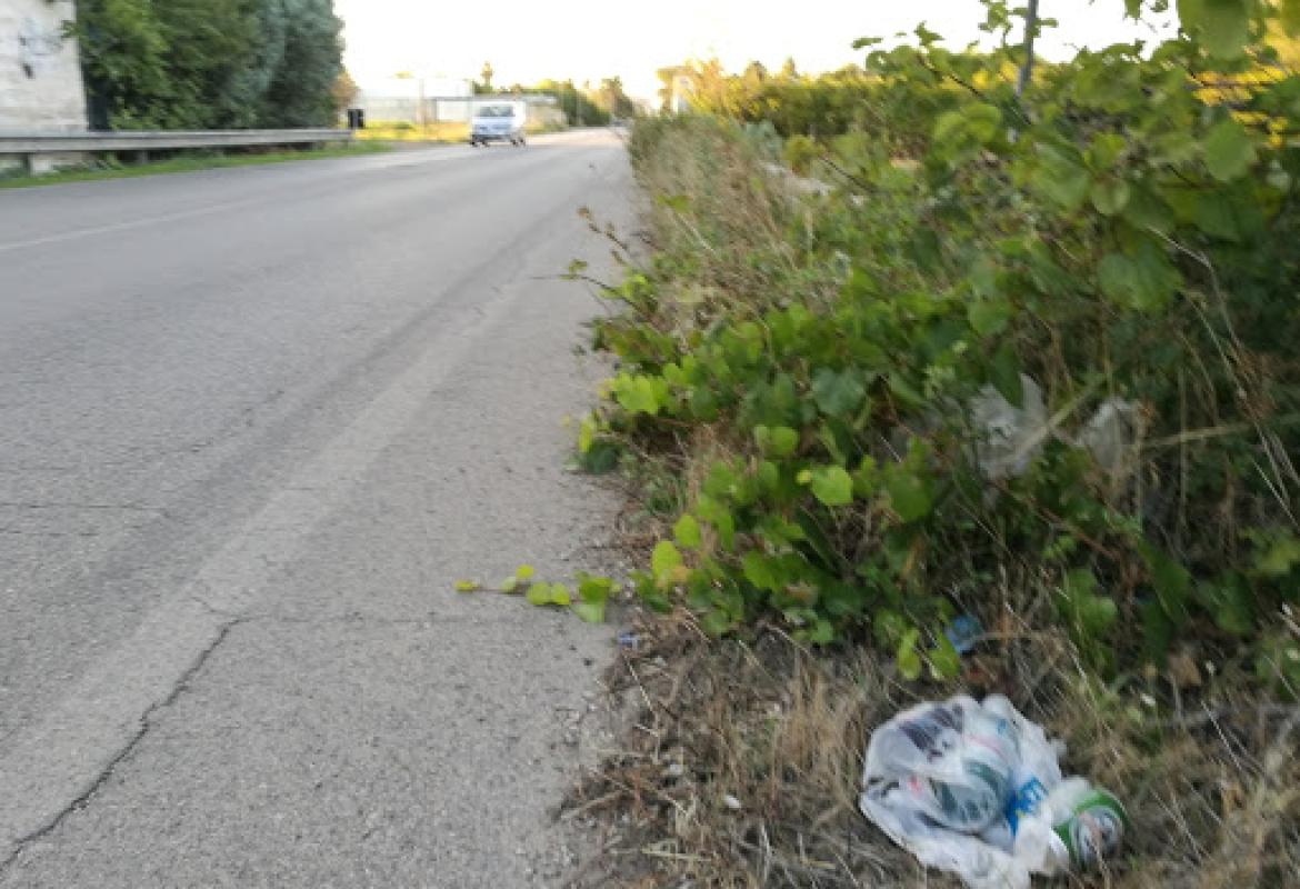 &quot;In tre anni è aumentato il degrado della via per Sogliano&quot;