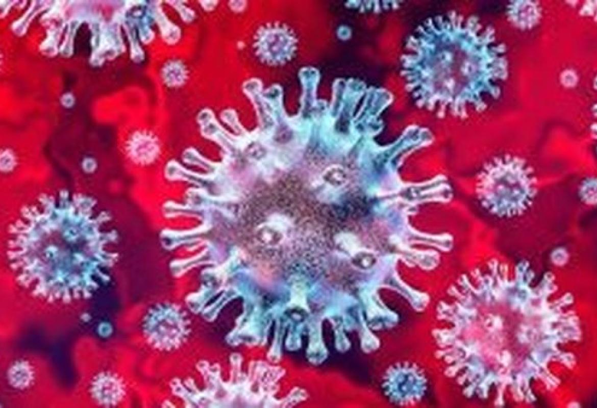 Covid-19. Puglia virus free