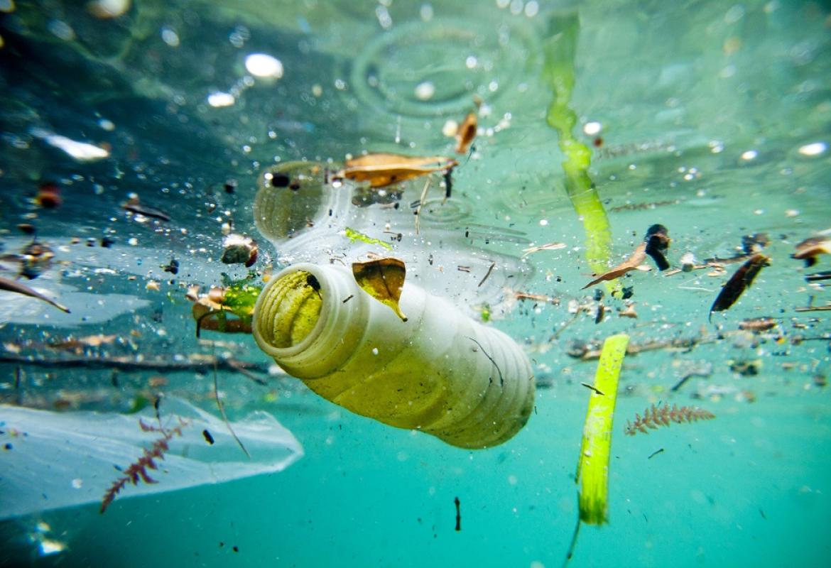 "Ripuliamo il mare dalle plastiche", al via il concorso